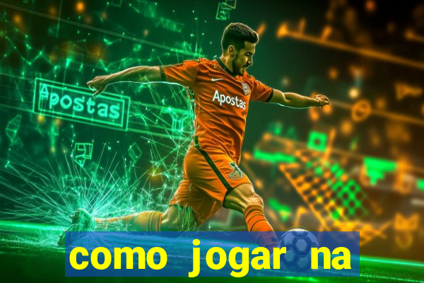 como jogar na lotinha do jogo do bicho