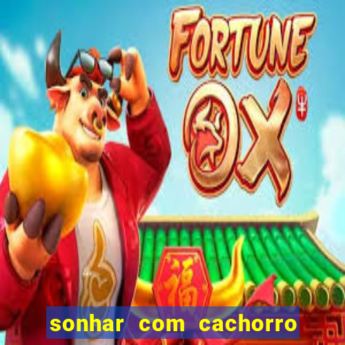 sonhar com cachorro cruzando jogo do bicho