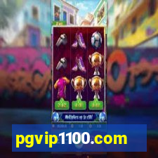 pgvip1100.com